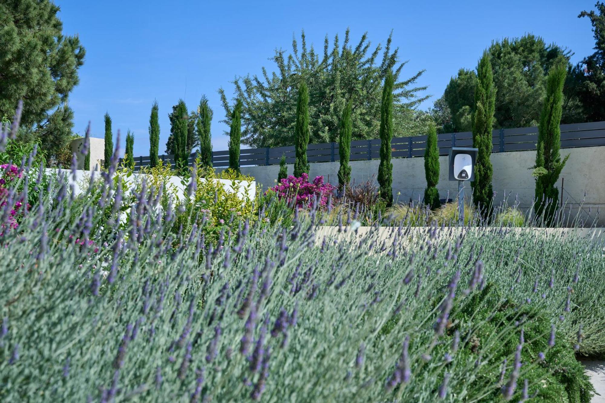 Kyamon Estate Luxury Villa Chania  Bagian luar foto
